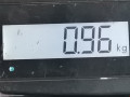 подушка безопасности боковая (шторка) Opel Corsa D 2006, 1.3 л., МКПП, хетчбэк 3 дв., 13150705 - фото №5