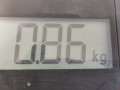 моторчик заднего стеклоочистителя (дворника) Opel Agila 1 поколение (A) 2000, 1.0 л., МКПП, хетчбэк 5 дв., 9198739 - фото №6