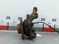 ступица передняя правая Renault Kangoo 1 поколение 2001, 1.9 л., МКПП, фургон, 402027463R - фото №5