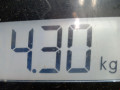 коллектор выпускной Renault Scenic 3 поколение 2011, 1.9 л., МКПП, минивэн - фото №7