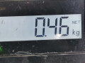 накладка на торпедо (консоль) Audi A6 4F/C6 2005, 3.0 л., вариатор, универсал, 4F1857115D - фото №5