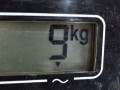 борт откидной Citroen C-Crosser 1 поколение 2007, 2.2 л., МКПП, внедорожник 5 дв. - фото №8