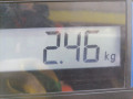 стеклоподъемник электрический задний правый Hyundai Sonata 5 поколение 2004, 2.4 л., МКПП, седан, 834813K000 - фото №7