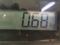 динамик высокочастотный (пищалка) Volkswagen Passat B6 2006, 2.0 л., вариатор, универсал, 3C0035453 - фото №5