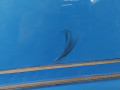 дверь передняя левая Opel Agila 1 поколение (A) 2001, 1.2 л., МКПП, хетчбэк 5 дв., 9201069 - фото №6