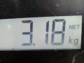 вакуумный усилитель тормозов Kia Ceed 2 поколение 2012, 1.6 л., МКПП, универсал, 59110A6550 - фото №7