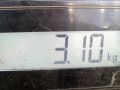 вентилятор радиатора SEAT Ibiza 3 поколение 2004, 1.4 л., МКПП, хетчбэк 3 дв., 6E0959455A - фото №6