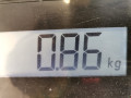 фонарь крышки багажника левый Renault Vel Satis 1 поколение 2002, 3.0 л., АКПП, хетчбэк 5 дв., 8200014362 - фото №5