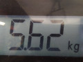 борт откидной Citroen C2 1 поколение 2007, 1.4 л., МКПП, хетчбэк 3 дв., 8701W2 - фото №8