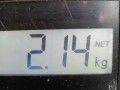 суппорт задний левый Volkswagen Golf 4 поколение 1998, 1.6 л., МКПП, хетчбэк 5 дв., 1J0615423G - фото №8