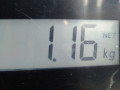 корпус масляного фильтра Opel Zafira 2 поколение (B) 2006, 1.9 л., МКПП, минивэн, 93188380 - фото №4