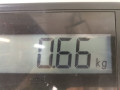 зеркало наружное правое Renault Sandero 1 поколение 2009, 1.5 л., МКПП, хетчбэк 5 дв., 963015207R - фото №6