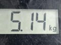 компрессор кондиционера Opel Meriva 1 поколение (A) 2003, 1.7 л., МКПП, минивэн, 13124751 - фото №7