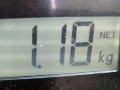 подушка крепления КПП Volkswagen Golf 4 поколение 1999, 2.0 л., МКПП, хетчбэк 5 дв., 1J0411305A - фото №5