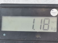 проводка SEAT Toledo 3 поколение 2004, 2.0 л., МКПП, хетчбэк 5 дв., 5P5971194A - фото №5