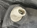 фара левая Renault Kangoo 1 поколение 2002, 1.2 л., МКПП, фургон, 260602509R - фото №4