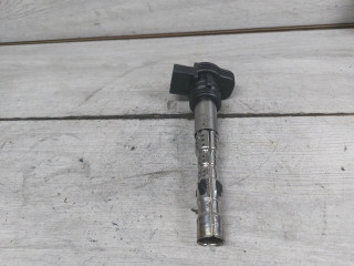 катушка зажигания Volkswagen Touareg 1 поколение (2002 - 2007), 4.2 л., BAR, бензин, 07K905715F, 07K905715D, 06F905115F, 06H905115A, 06F905115C