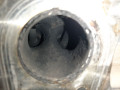 двигатель Audi A6 4F/C6 (2004 - 2008), 2.4 л., i, BDW, бензин, BDW - фото №9
