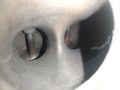 двигатель Mazda 3 1 поколение [рестайлинг] BK (2006 - 2008), 2.0 л., i, LF-VE, бензин, LF - фото №11