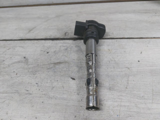 катушка зажигания Volkswagen Touareg 1 поколение (2002 - 2007), 4.2 л., BAR, бензин, 07K905715F, 07K905715D, 06F905115F, 06H905115A, 06F905115C