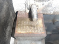 двигатель Fiat 500 2 поколение (2008 - 2015), 1.2 л., i, 169 A4.000, бензин, 169A4000 - фото №2