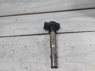 катушка зажигания Volkswagen Touareg 1 поколение (2002 - 2007), 4.2 л., BAR, бензин, 07K905715F, 07K905715D, 06F905115F, 06H905115A, 06F905115C