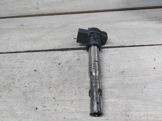катушка зажигания Volkswagen Touareg 1 поколение (2002 - 2007), 4.2 л., BAR, бензин, 07K905715F, 07K905715D, 06F905115F, 06H905115A, 06F905115C