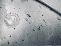 бампер задний BMW X3 G01 (2017 - 2025), 511277382810, 5112773828, 7491867, 77382810 - фото №13
