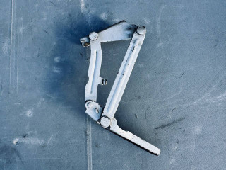 петля капота левая Mercedes-Benz Sprinter 2 поколение [рестайлинг] (W906) (2014 - 2018), 9067500021