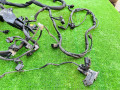 проводка двигателя Mercedes-Benz E-Класс W211/S211 [рестайлинг] (2006 - 2009), 3.0 л., OM 642.920, дизель, A0005462480 - фото №7