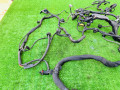 проводка двигателя Mercedes-Benz E-Класс W211/S211 [рестайлинг] (2006 - 2009), 3.0 л., OM 642.920, дизель, A0005462480 - фото №9