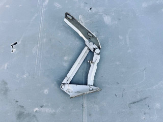 петля капота правая Mercedes-Benz Sprinter 2 поколение [рестайлинг] (W906) (2014 - 2018), 9067500121