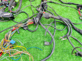 проводка салона Mercedes-Benz E-Класс W210/S210 (1995 - 1999), 2105402934, 2105402606, 2105405534 - фото №8