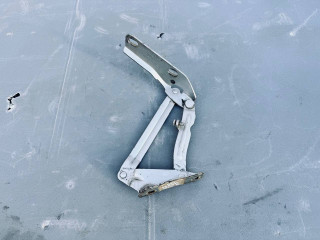 петля капота правая Mercedes-Benz Sprinter 2 поколение [рестайлинг] (W906) (2014 - 2018), 9067500121