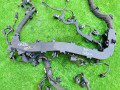 проводка двигателя Mercedes-Benz E-Класс W212/S212/C207/A207 (2009 - 2013), 2.1 л., OM 651.924, дизель, A6511591025, A6511590125, A0265459026 - фото №5