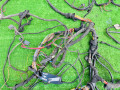 проводка салона Mercedes-Benz E-Класс W210/S210 (1995 - 1999), 2105402934, 2105402606, 2105405534 - фото №3