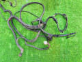 проводка двигателя Mercedes-Benz Vito W638 (1996 - 2003), 2.2 л., дизель, A6384403308, A0001501215 - фото №5
