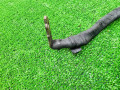 плюсовой провод аккумулятора Volkswagen Crafter 1 поколение (2006 - 2011), 2.5 л., BJK, дизель, 9064400006, HVW9064400006 - фото №5
