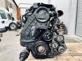 двигатель Opel Astra H (2004 - 2007), 1.7 л., A 17 DTR, дизель, A17DTR - фото №5