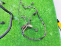 проводка двигателя Volkswagen Crafter 1 поколение (2006 - 2011), 2.5 л., CECA, дизель, HVW9065460161 - фото №5