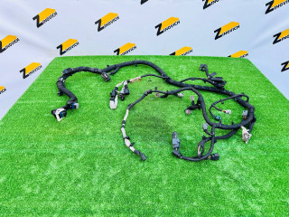 проводка двигателя Ford Transit 7 поколение (2006 - 2013), 2.2 л., дизель, передний привод, 6C1T12B637