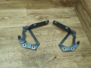 петля капота Land Rover Range Rover Evoque L538 2012, 2.2 л., 224DT, дизель, МКПП, внедорожник 5 дв.