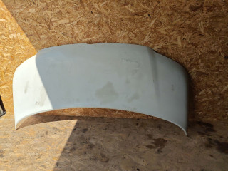 капот Volkswagen Transporter T5 2007, 1.9 л., BRS, дизель, МКПП, микроавтобус