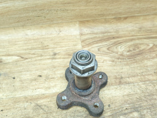 цапфа задняя Renault Duster 1 поколение 2012, 2.0 л., F4R 403, бензин, АКПП, внедорожник 5 дв., передний привод