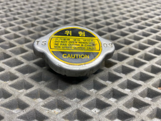 пробка расширительного бачка Hyundai Accent 2 поколение (LC) LC 2006, 1.5 л., бензин, МКПП, седан, 2533017000