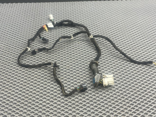 дверная проводка Kia Rio 1 поколение [рестайлинг] DC 2004, 1.5 л., A5D, бензин, АКПП, c5 - diamond silver серебро, универсал, передний привод, 91810FD010