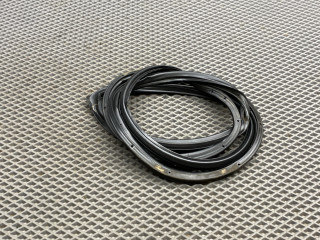 уплотнитель двери Chevrolet Lacetti 1 поколение J200 2008, 1.6 л., F16D3, бензин, МКПП, gge - ярко красный, хетчбэк 5 дв., передний привод, 96548234