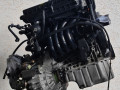 двигатель Volkswagen Golf 4 поколение 1999, 1.4 л., i, AKQ, бензин, МКПП, передний привод, AKQ - фото №5