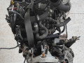 двигатель Renault Clio 3 поколение 2006, 1.2 л., Ti, D4F 784, бензин, 5МКПП, передний привод, D4F784 - фото №4