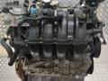 двигатель Audi A3 8P/8PA [рестайлинг] 2006, 1.6 л., FSI, BLF, бензин, МКПП, передний привод, BLF - фото №3